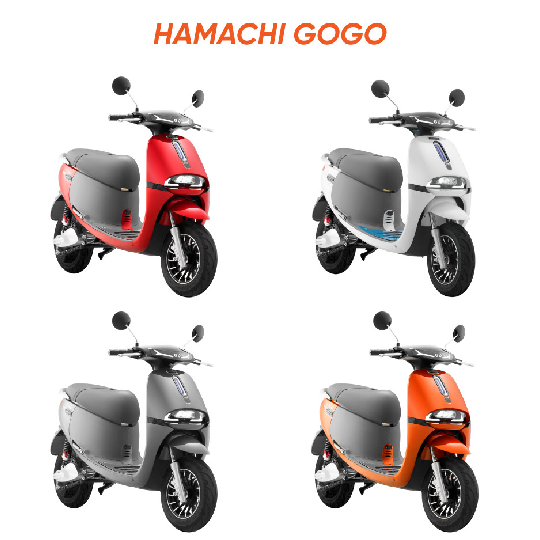HAMACHI GOGO 4 MÀU